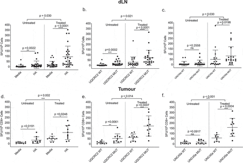 Figure 4. Combination ICPB-induced neo-antigen specific T cells are not excluded from tumors. IFNγ responses to a. HA, b. UQCRC2, and c. UNC45a short peptides in dLNs of treated and untreated mice (n = 23–28). Tumor CD8+ tumor infiltrating lymphocyte responses to d. HA, e. UQCRC2 and f. UNC45a peptides in treated and untreated mice (n = 10). Mixed model ANOVA compared T-cell responses between treated and untreated mice