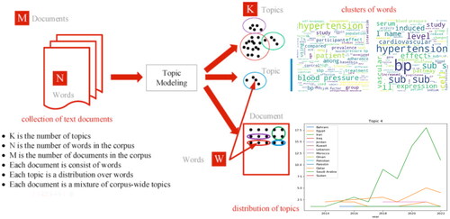 Figure 2. The infographic of input/output of the present analysis.