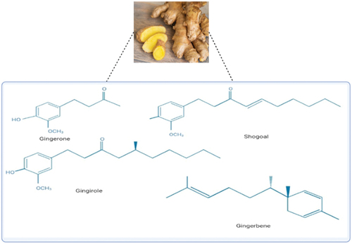 Figure 1. Molecular structure of few bioactive components found in ginger.