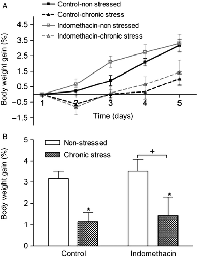 Figure 4.  Effects of stress on BW gain in control and indomethacin-treated rats. Data are mean ± SEM, n = 13–16 rats/group. (A) Time course of the percent weight gain relative to the first day of the stress/sham protocol in control and indomethacin-treated rats. (B) Percent of BW gain in control and indomethacin groups 5 days after stress exposure. Stress significantly decreased BW gain (two-way ANOVA, p = 0.0005). *p < 0.05 vs. control-nonstressed group; +p < 0.05 vs. indomethacin-nonstressed group.