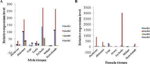 Figure 5. Real-time qPCR analysis of the relative expression of LmiHx family genes in different tissues of L.migratoria adult males (A) and females (B).