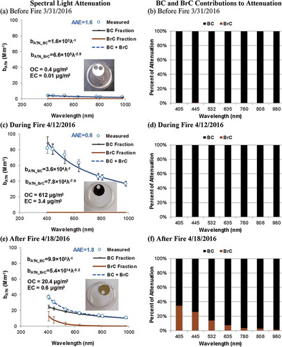 Figure 12. Spectral light attenuation contributions from BC and BrC before (a and b), during (c and d), and after (e and f) the Long Pine Key wildfire in the Everglades National Park. The left panels depict the decomposition of total light absorption by BC and BrC using the two-component model, and the right panels show the percent contributions of BC and BrC to total attenuation at each wavelength. The corresponding filter samples (one or two punches removed for carbon analysis) are also shown. Error bars represent uncertainties derived from replicate analyses and lower quantifiable limits.