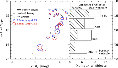 Figure 7. Figure from [Citation17], from a Spitzer mid-IR variability survey of 44 brown dwarfs. Metchev et al. [Citation17] find ubiquitous variability at low amplitudes as well as a tentative association (92% confidence) between low surface gravity and high-amplitude variability among L3-L5.5 dwarfs. Based on these results, variability up to the few percent level appears to be a common feature for L and T brown dwarfs