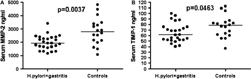 Figure 2.  Serum matrix metalloproteinase (MMP)-2 (A) and tissue inhibitor of metalloproteinase (TIMP)-1 (B) levels of 26 Helicobacter pylori gastritis patients and 18 H. pylori-negative controls with normal gastric mucosa. Data of two groups compared by the Mann-Whitney test. The horizontal line indicates median.
