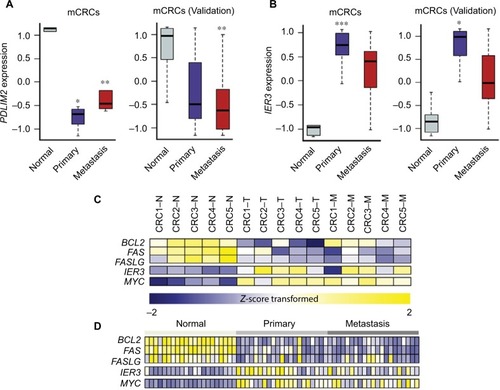 Figure 4 Gene expression values (Z-score transformed) of PDLIM2, IER3, and other target genes of NF-kB in mCRCs.