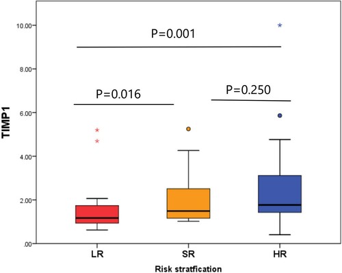 Figure 4. Risk stratification of the patients according to TIMP-1 expression.