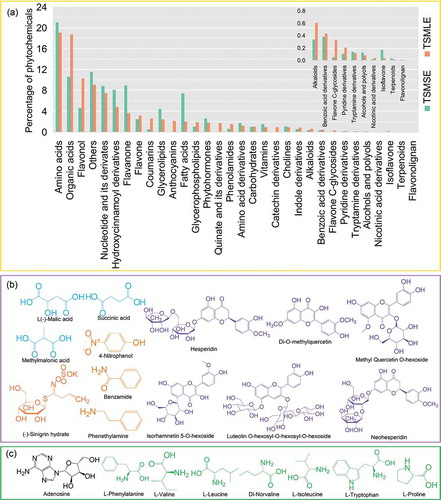 Figure 2. Phytochemicals profile of tumorous stem mustard leaf and stem extracts. The percentage of phytochemicals in tumorous stem mustard leaf and stem extracts (a). The main individual organic acids, polyphenols and other compounds (b); and vitamins and nucleotide derivates (c) in tumorous stem mustard leaf and stem extracts. blue: organic acids; orange: others; purple: polyphenols; green: vitamins; black: nucleotide and its derivates.Figura 2. Perfil de fitoquímicos de extractos de hoja y tallo de mostaza de tallo tumoral. Porcentaje de fitoquímicos en extractos de hojas y tallos de mostaza de tallo tumoral (A). Principales ácidos orgánicos individuales, polifenoles y otros compuestos (B); y vitaminas y derivados de nucleótidos (C) en extractos de hojas y tallos de mostaza de tallo tumoral. Azul: ácidos orgánicos; naranja: otros; morado: polifenoles; verde: vitaminas; negro: nucleótido y sus derivados.