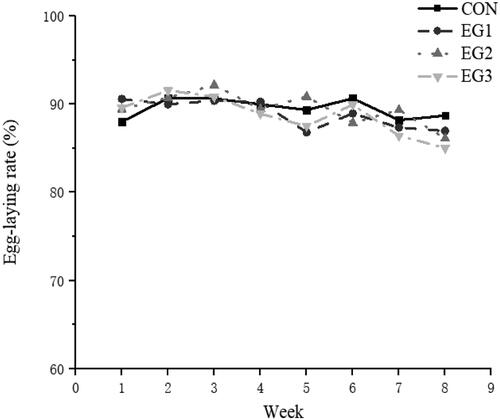 Figure 1. Egg-laying rate period interaction line chart. CON: control group; EG1: 1.5% BP-fermented feed replacement group; EG2: 3% BP-fermented feed replacement group; EG3: 4.5% BP-fermented feed replacement group.