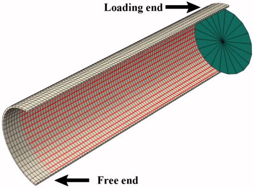 Figure 6. the spring elements (red short lines) of the RCST2.