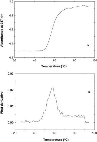 Figure 3 Thermal denaturation profile of fish proteins during heating from 25 – 95°C at pH 7.5. A). The absorbance at 287 nm was monitored during heating in thermal cuvettes with a heating rate of 1°C per minute B) first derivative plot of absorbance vs temperature.