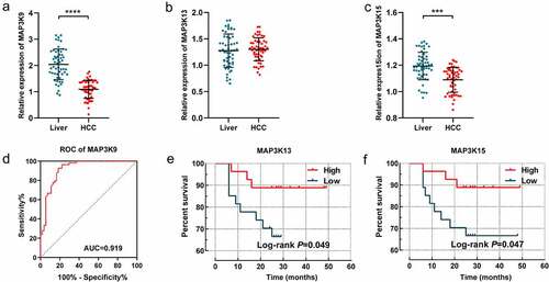 Figure 9. Validation of the diagnostic/prognostic significance of MAP3Ks in the Guangxi cohort: (a-c) relative expression of MAP3K9, MAP3K13, and MAP3K15 between HCC and normal liver tissues; (d) ROC of MAP3K9; (e) survival curve of MAP3K13; and (E) survival curve of MAP3K15.