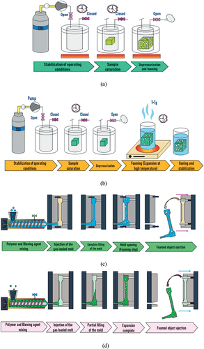 Figure 3. Principle of the foaming process. Adapted and reproduced with permission from the ref (Villamil Jiménez et al. Citation2020).