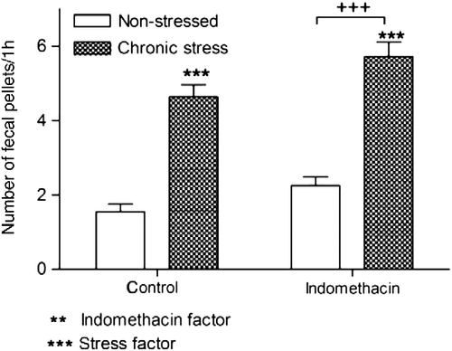 Figure 5.  Effect of stress exposure on fecal pellet output in control and indomethacin-treated rats. Date are mean ± SEM, n = 13–16 rats/group. Indomethacin-treated rats showed an increase in defecation frequency when compared with the healthy rats (two-way ANOVA, p = 0.004). Stress significantly increase pellet output when compared to the unstressed rats (two-way ANOVA p < 0.0001). ***p < 0.001 vs. control-nonstressed group: +++p < 0.001 vs. indomethacin nonstressed rats.