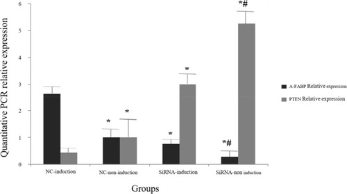 Figure 4 The mRNA expression levels of A-FABP and PTEN after inhibition of A-FABP or induction with insulin. *P<0.05 compared with the induction group; # P<0.05 compared with the siRNA + induction group.