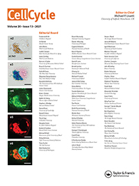 Cover image for Cell Cycle, Volume 20, Issue 13, 2021