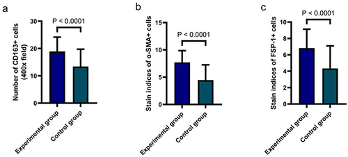 Figure 6 The expression levels of CD163, α-SMA, and FSP-1 were different in the experimental and control groups. (a) The number of CD163 in experimental groups matched control groups. (b) The staining indices of α-SMA in experimental groups matched control groups. (c) The staining indices of FSP-1 in experimental groups matched control groups.