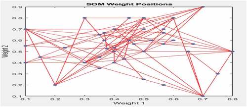 Figure 13. The SOM weight positions.