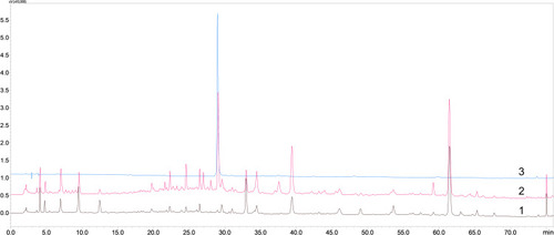 Figure 3 The specific HPLC chromatograms of paeoniflorin (1. HGWD without Paeoniae Radix Alba (negative sample); 2. HGWD; 3. paeoniflorin).