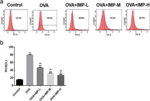 Figure 3. Effect of IMP on the production of ROS.