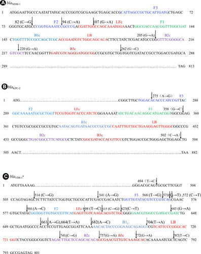 Figure 1 Continued.