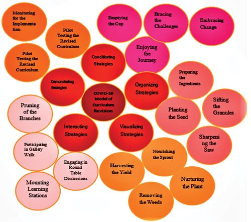 Figure 11. The COVID-19 strategies of curriculum revision.