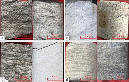 Figure 3. Sedimentary structures in the study area: (a) Trough cross bedding: Well XQ7, 2833.50 m; Well MP24, 2678.52 m. (b) Bottom washout: MP47-6A, 2904.45 m; AP210, 2571.20 m. (c) Tabular cross bedding: Well XQ7, 2829.90 m; Well MP47-6A, 2903.20 m. (d) Parallel bedding: Well AP209, 2930.51 m; Well MP31, 2835.50 m.