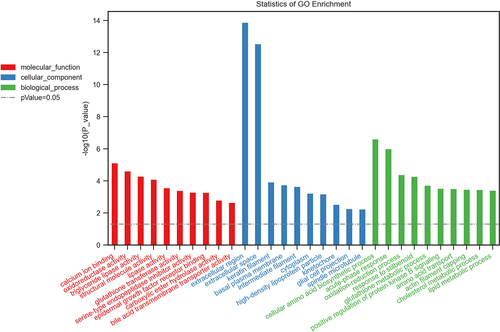 Figure 4. Biological functions of differentially expressed mRNAs. The top 10 enriched GO categories involved in molecular function, cellular component, and biological processes.