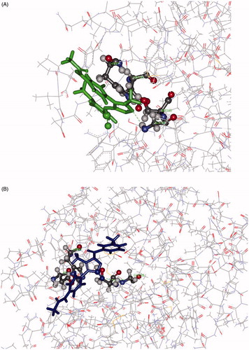 Figure 5. Panel (A): View of the 8d-HNE adduct from MD showing the H-bond interaction between the nitrogen atom of the 5-membered ring acting as H-bond acceptor towards Gly193. Panel (B): View of the 7d-HNE adduct from MD showing the H-bond interaction between the oxygen of 5-CO acting as H-bond acceptor towards Gly193.