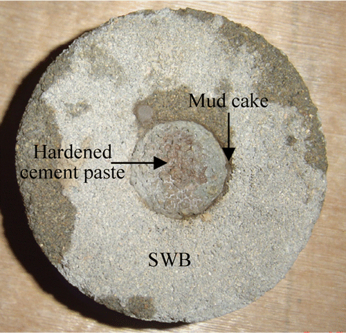 Figure 2 Experimental sample of curing moulding.