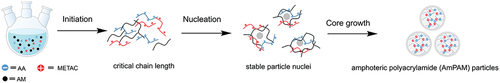 Figure 1. The synthesis procedure of amphoteric polyacrylamide (AmPAM) via an aqueous dispersion polymerization.