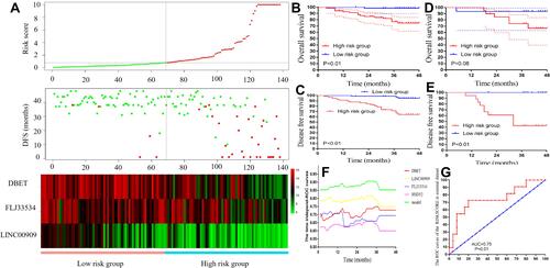 Figure 6 Risk factor model construction and verified in the prognosis and NCRT response. (A) The risk factor model of the hub lncRNAs in the 138 CRC patients. (Upper) LncRNA risk score distribution of 138 CRC patients. (Middle) Status of every patient in the external dataset (N=138). (Lower) Expression heatmap of the hub lncRNAs corresponding to each sample above. Red: high expression; Blue: low expression. (B) The OS analysis of the risk score in the 138 CRC patients. (C) The DFS analysis of the risk score in the 138 CRC patients. (D) The OS analysis of the risk score in the 58 LARC following NCRT patients. (E) The DFS analysis of the risk score in the 58 LARC following NCRT patients. (F) Time-dependent AUC curves of the hub lncRNAs and risk factor models for the prediction of DFS in the 138 CRC patients. (G) ROC curves and AUC analysis to evaluate the predictive efficiency of the risk score in the 58 LARC following NCRT patients.