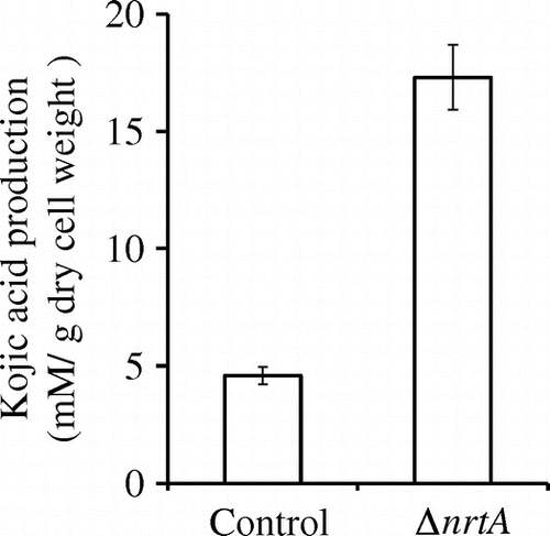 Fig. 5. Effects of nrtA disruption on kojic acid biosynthesis in A. oryzae.