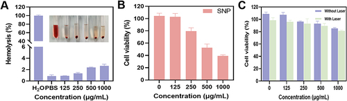 Figure 6 (A) Hemolysis rate and pictures of SNP/PEI-ICG@PEG (concentration of drug: 0, 125, 250, 500, and 1000 μg/mL). (B) Survival rate of L929 cells treated with different concentrations of SNP solution (0, 125, 250, 500, and 1000 μg/mL). (C) Cell viability of L929 cells with different concentrations of SNP/PEI-ICG@PEG solutions (0, 125, 250, 500, and 1000 μg/mL) in the presence and absence of light. The error bars represent the standard deviations obtained from three independent measurements.