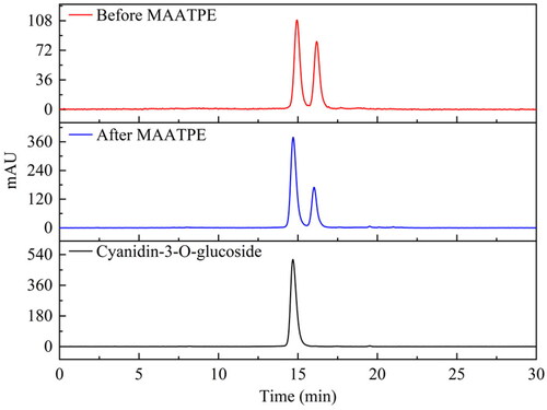 Figure 4. HPLC chromatograms of mulberry anthocyanins: cyanidin-3-O-glucoside, before MAATPE and after MAATPE.