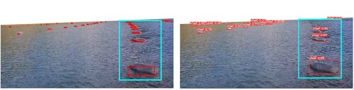 Figure 10. Float detection results obtained by the new mussel float detector (left) and the YOLOv8 method (right) on the same image.