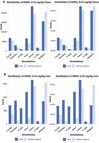 Figure 6. Annotated genic regions in liver and testes distribution of DMRs within (a) genic regions of 0.15 and 0.35 mg/kg testes, (b) 0.15 and 0.35 mg/kg liver. Annotated data is plotted against a randomized set of regions