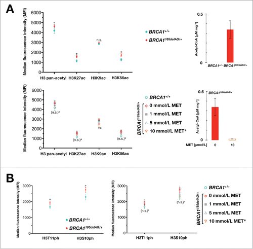 Figure 1. Metformin normalizes BRCA1 haploinsufficiency-induced acetylation and phosphorylation of histone H3 marks. BRCA1185delAG/+ heterozygous and parental BRCA1+/+ cells were pretreated with the indicated concentrations of metformin for 48 h. Acid extracts were prepared and lysates were used to evaluate H3 pan-acetyl, H3K27ac, H3K9ac, H3K57ac, H3S10ph, and S3T11ph Ab-conjugated beads in multiplex along with H3 Total beads for normalization to determine relative post-translational modifications (PTM) values using the Active Motif Histone H3 PTM Multiplex Assay. n.s. non-significant differences relative to untreated control cells by Student's t test for paired values; * P < 0.05 relative to control cells by Student's t test for paired values; a: comparing 10 μmol/L metformin (MET)-treated cells to control cells by Student's t test for paired values.