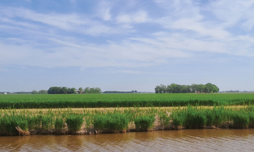 Illustration 3. Two typical farmsteads surrounded by trees on the Noordoostpolder, located roughly between the towns of Urk and Nagele.