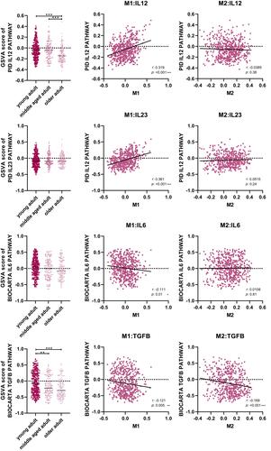 Figure 3 Associations among different cytokines expressions, M1, and M2 signatures (**p=0.005/***p<0.001).