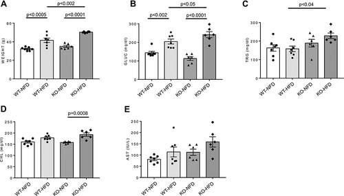 Figure 1 Weight (A) and plasma glucose (GLUC, B), triglycerides (TRG, C), cholesterol (CHL, D), and aspartate aminotransferase (AST, E) levels in wild-type mice treated with normal (WT-NFD) or high (WT-HFD) fat diet, or P2X7 receptor knockout mice treated with normal (KO-NFD) or high fat diet (KO-HFD). Data are presented as mean±SE for at least six animals in each group. Two-way ANOVA with genotype and diet as sources of variation, followed by Tukey’s post-hoc test, was used for multiple comparisons. Statistical significance was set at p < 0.05. ● WT-NFD, ■ WT-HFD, ▲ KO-NFD, ◆ KO-HFD.