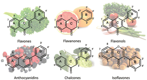 Figure 4. Major subclasses of flavonoids found in significant amounts in the pictured fruits and vegetables.