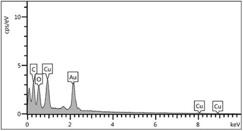 Figure 4. EDX data for biosynthesized Cu NPs.