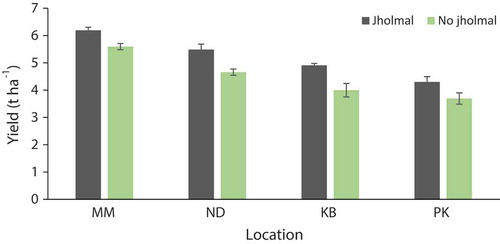 Figure 3. Effects of jholmal/no jholmal on rice yield (mean ± standard error) in 2015 in four different sites: Mahadevstan Mandan (MM), Nayagaun-Deupur (ND), Kalchhebesi (KB), and Patlekhet (PK).