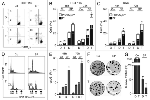 Figure 1. Preferential killing of near-to-tetraploid colorectal carcinoma cells by SP600125. (A–C) Near-to-diploid (D) and near-to-tetraploid (T) human colorectal carcinoma HCT 116 (A and B) or RKO (C) cells were maintained in control conditions (Co) or treated for 48 and 72 h with 30 µM SP600125 (SP), then co-stained with DiOC6(3) and propidium iodide (PI) for the assessment of apoptosis-associated parameters. (A) Illustrates representative dot plots at 72 h (numbers indicate the percentage of cells found in the corresponding quadrant), while (B and C) report quantitative data. White and black columns illustrate the percentage of dying [PI- DiOC6(3)low] and dead (PI+) cells, respectively. Data are reported as means ± SEM (n = 3). *p < 0.05, as compared with D cells treated with SP. (D and E) D and T HCT 116 cells were maintained in Co conditions or incubated with 30 µM SP600125 for 48 or 72 h, followed by Hoechst 33342 staining (to quantify cells manifesting apoptotic DNA degradation, subG1). (D and E) Illustrate representative dot plots at 72 h and quantitative data (mean ± SEM; n = 3), respectively. *p < 0.05, as compared with D cells treated with SP. (F and G) D and T HCT 116 cells were left untreated (Co) or treated with 30 µM SP600125 for 24 h and then processed for clonogenic assays. Representative plates as well as quantitative data upon normalization to plating efficiency (mean ± SEM; n = 3) are shown. Scale bar = 3 cm.
