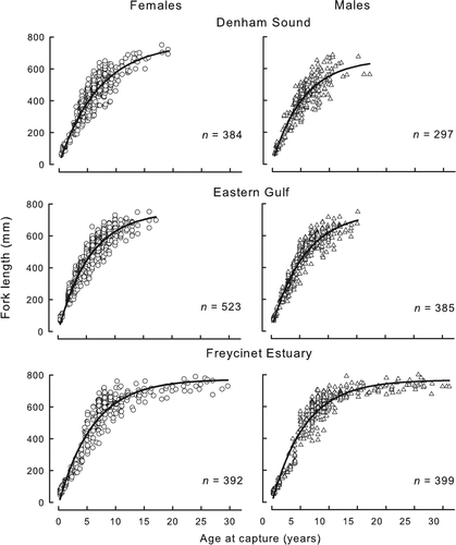 Fig. 5  von Bertalanffy curves fitted to lengths at age of female and male Pagrus auratus from Denham Sound, Eastern Gulf and Freycinet Estuary in Shark Bay, Western Australia.