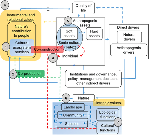 Figure 1. Modified IPBES framework for exploring social-ecological interactions associated with cultural ecosystem services. This framework amends and elaborates on eight components and linkages: (1) cultural ecosystem service; (2) co-production; (3) co-construction; (4) ecosystem values; (5) anthropogenic assets (hard and soft); (6) nature; and (7) ecological and cultural functions. Further detail on each of these 7 elements is provided in Table 1.