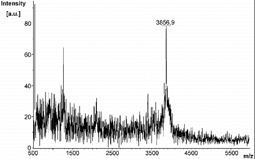 Figure 2. MALDI-TOF spectrum of modified amylin (MA).