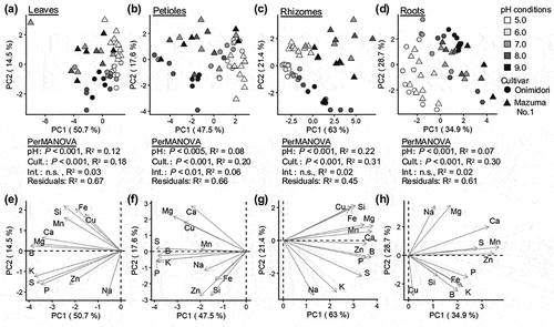 Figure 6. PCA of ionome profiles of wasabi cultivars ‘Onimidori’ and ‘Mazuma No.1’ cultivated under different pH conditions.