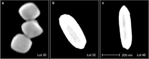 FIG. 8 Micrographs showing three types of hematite particles. (a) Three Lot 30 pseudocubic particles with mobility diameter of 225 nm. (b) A Lot 32 ellipsoidal particle with aspect ratio of ∼ 2.5 and mobility diameter of 274 nm. (c) A Lot 46 ellipsoidal particle with aspect ratio of ∼ 3.25 and mobility diameter of 219 nm.