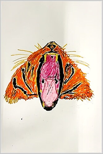 Figure 16. Dangerous encounter in a zoo with a tiger’s open mouth.